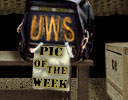 Pic of the Week